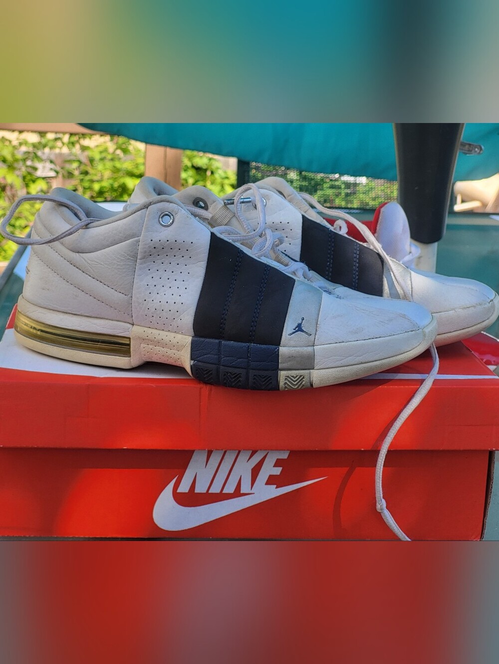 Air Jordon Team Ellite Low “